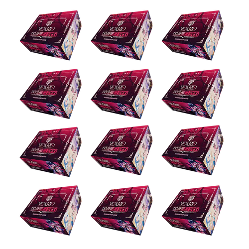 Divine Chaos: Limited Master Case (12 Booster Boxes)